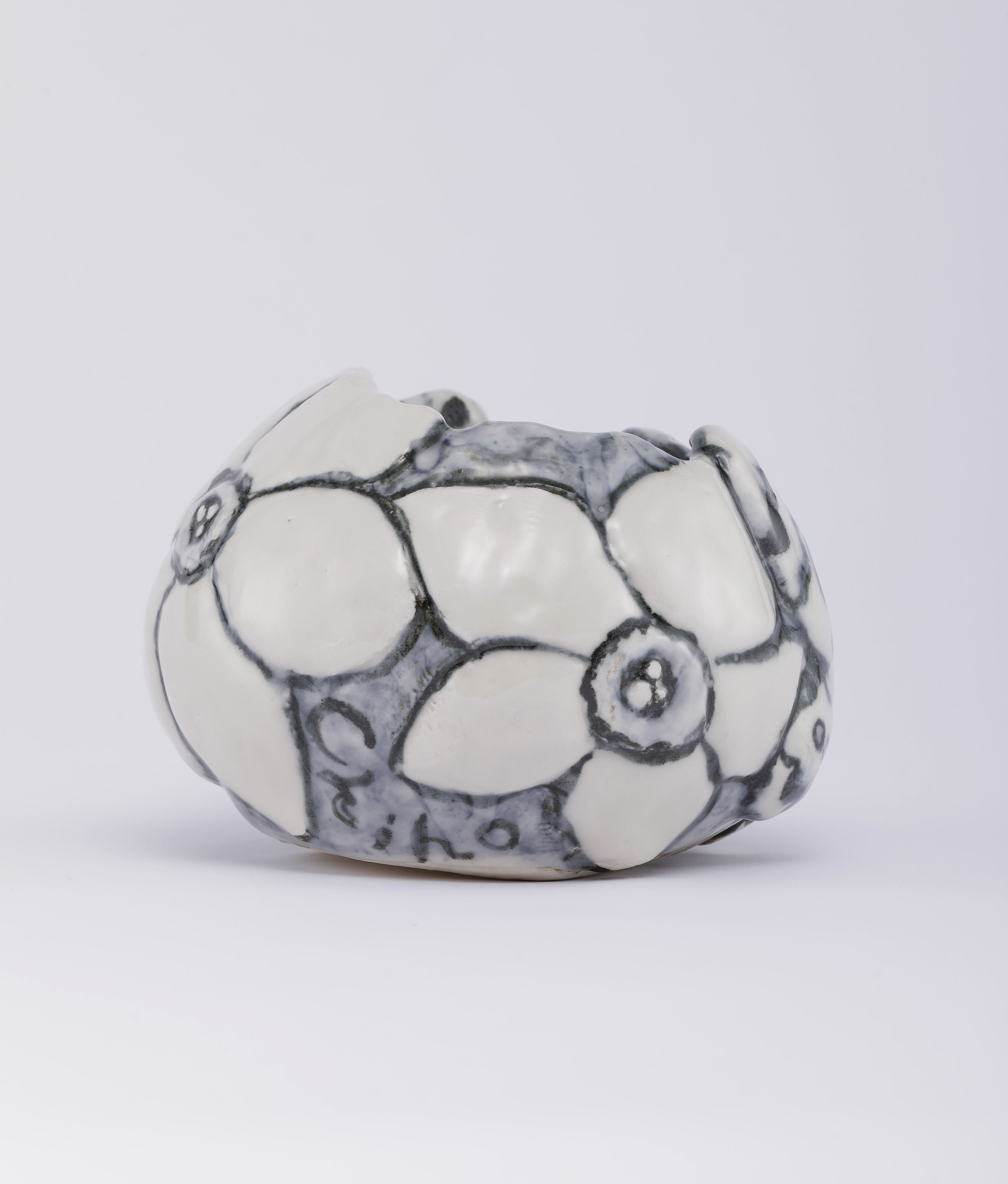 Chiho_Aoshima_Moth and Larva_