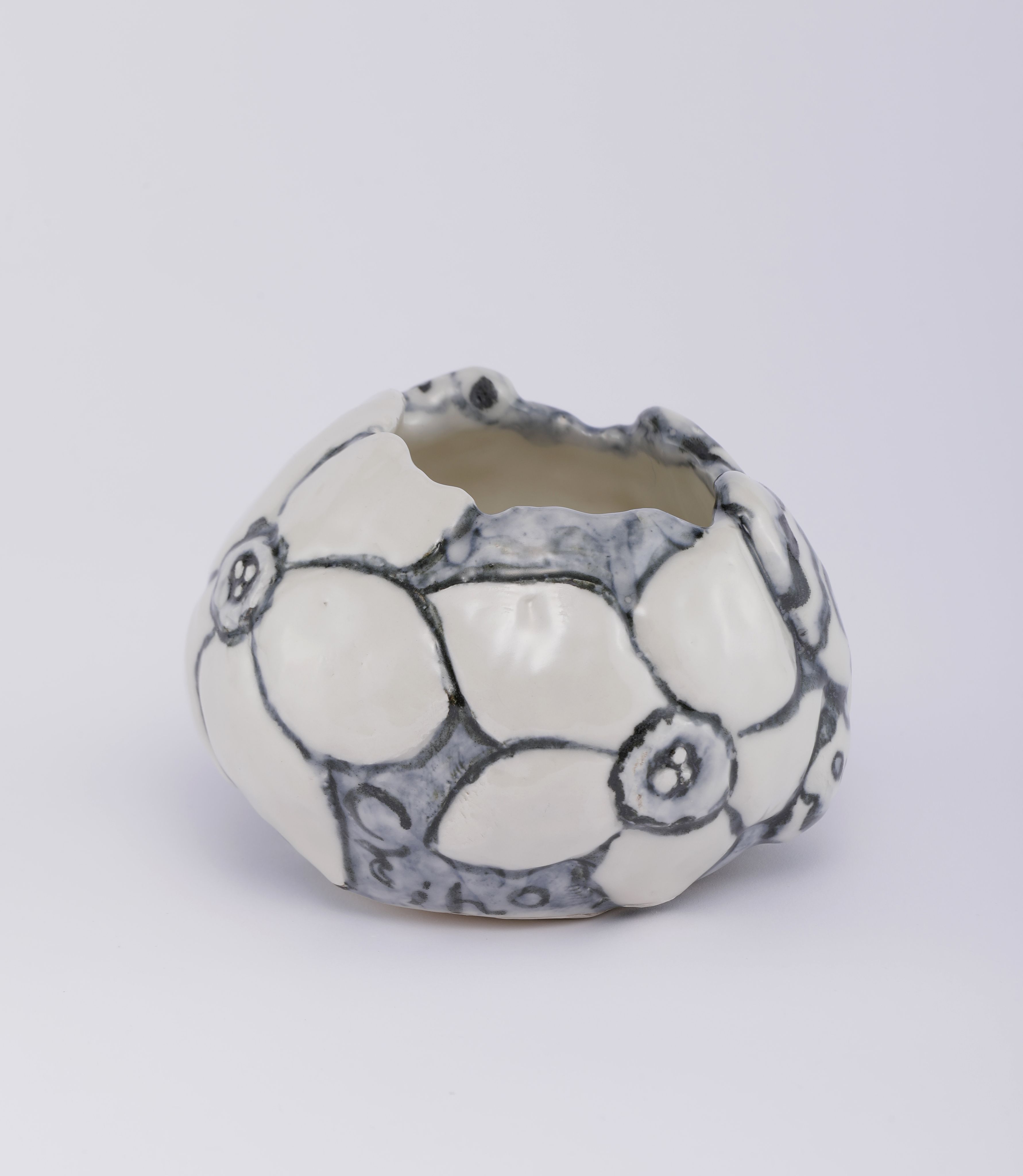 Chiho_Aoshima_Moth and Larva_