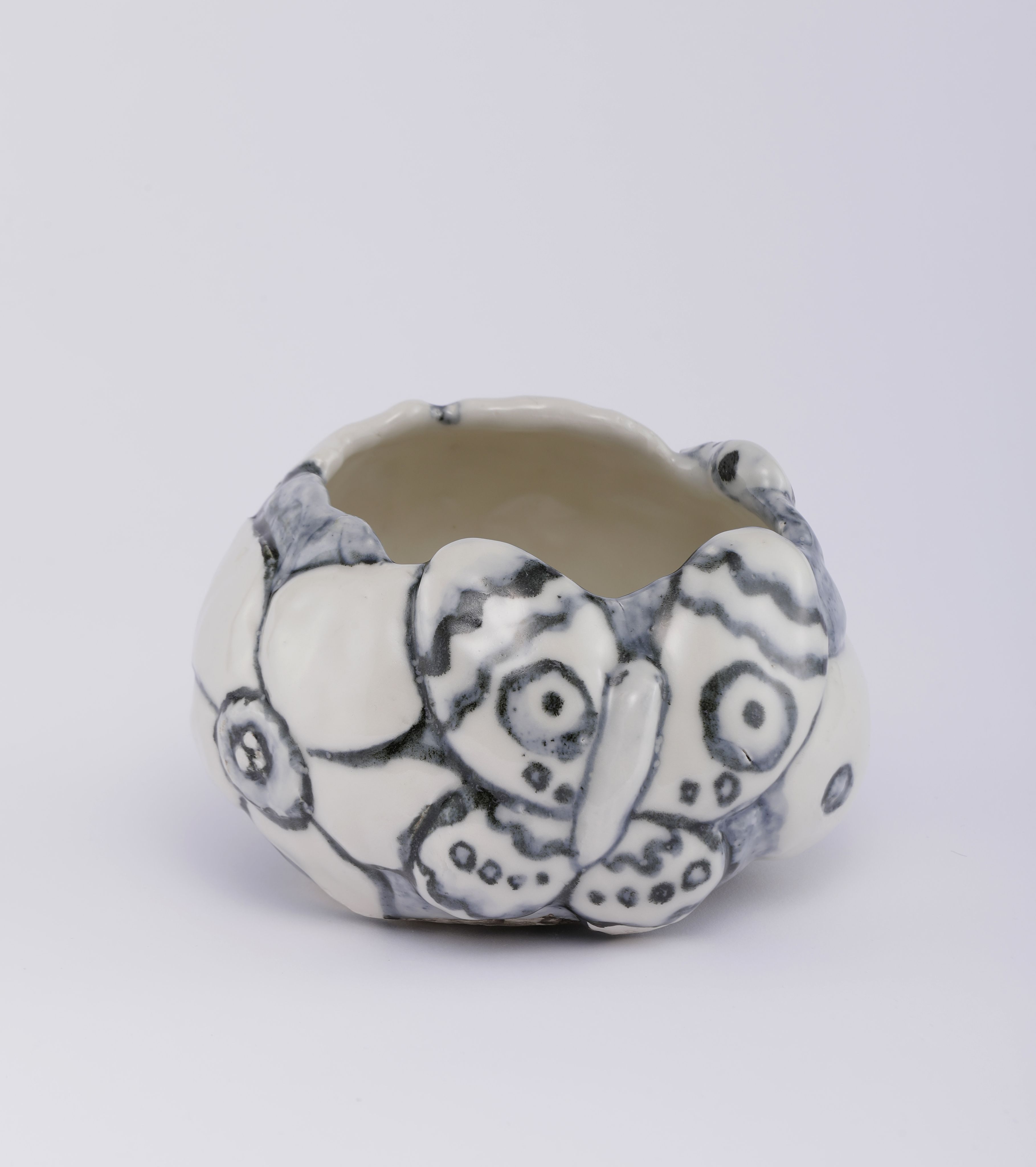 Chiho_Aoshima_Moth and Larva_