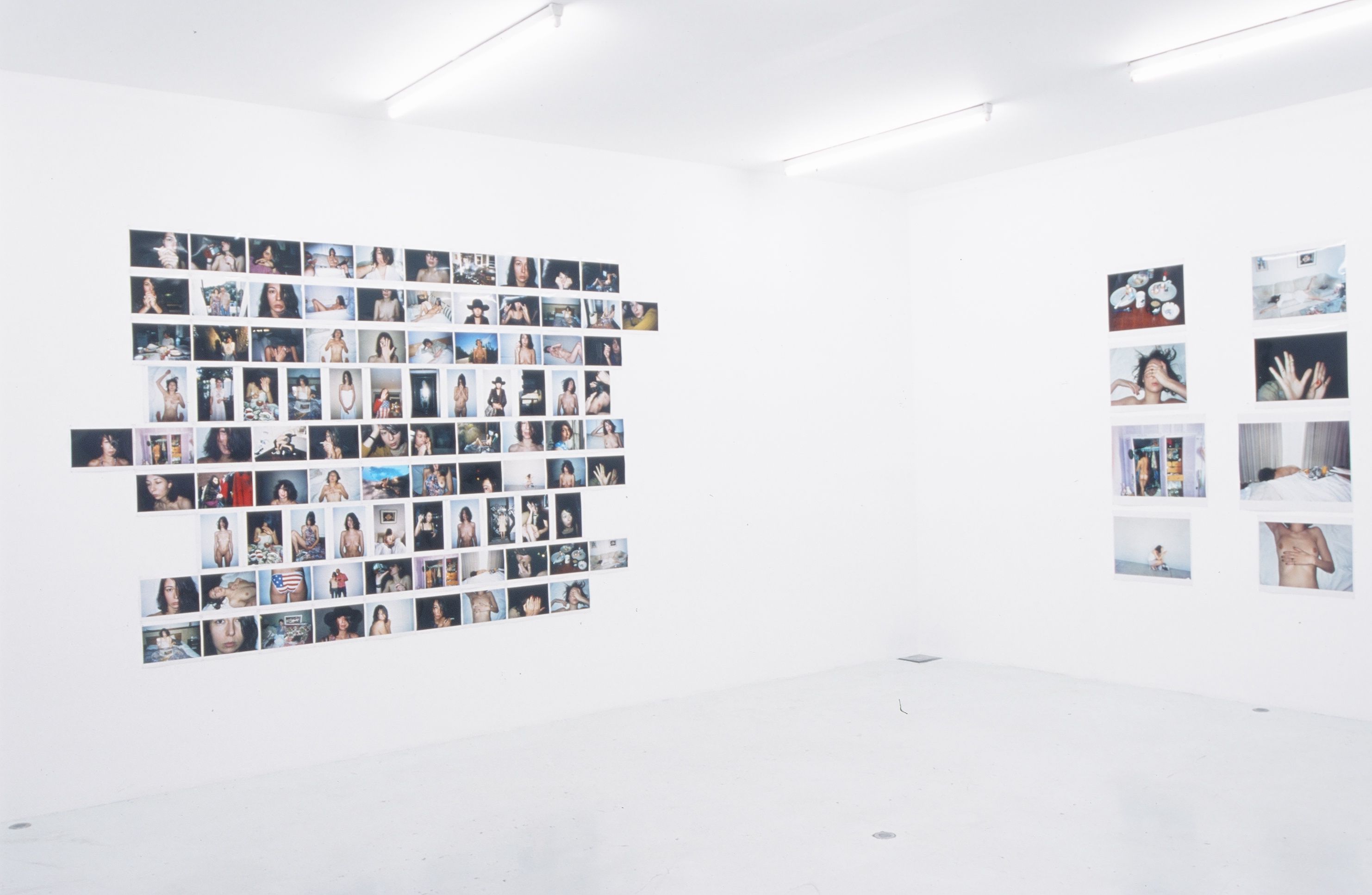 TERRY RICHARDSON PAINTINGS ARTWORK FOR SALE visual data 3